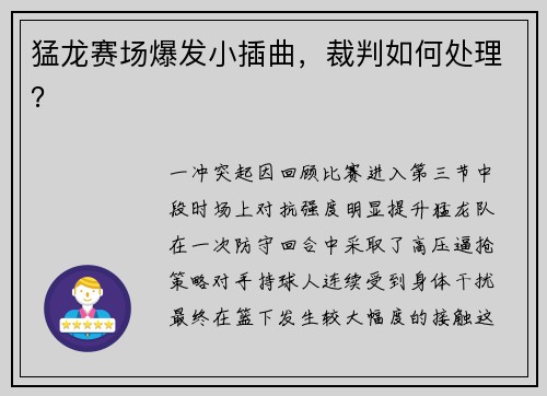 猛龙赛场爆发小插曲，裁判如何处理？