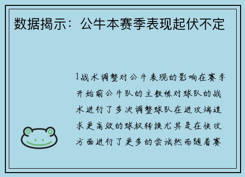 数据揭示：公牛本赛季表现起伏不定